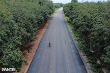 Đường Hồ Chí Minh qua Tây Ninh tăng tốc thi công, từng bước về đích