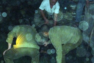 Thiếu nữ nhảy hồ tự tử