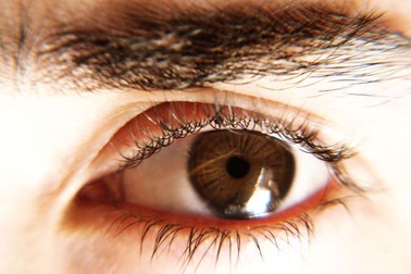 Những thực phẩm giúp bảo vệ mắt