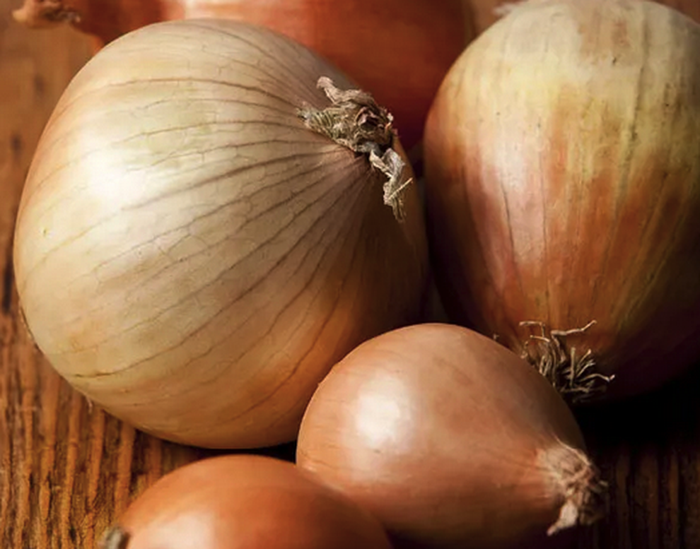 10 thực phẩm tăng cường miễn dịch trong mùa đông - 5