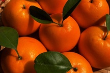 Nhìn tưởng quả quýt, ai ngờ lại là loại bánh "hốt bạc" cúng Rằm tháng Giêng