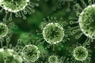 Cảnh báo loại virus đã bùng phát ở 2 nước Đông Nam Á, gây sưng não tử vong