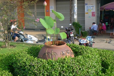 “Nghi trồng hoa sen trên phố làm tăng sốt xuất huyết” là thiếu cơ sở