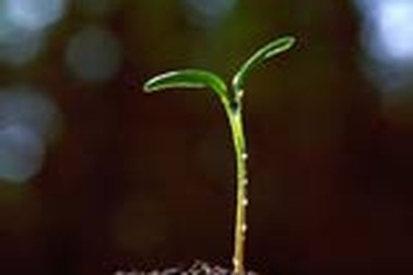 Em sẽ không nói đâu