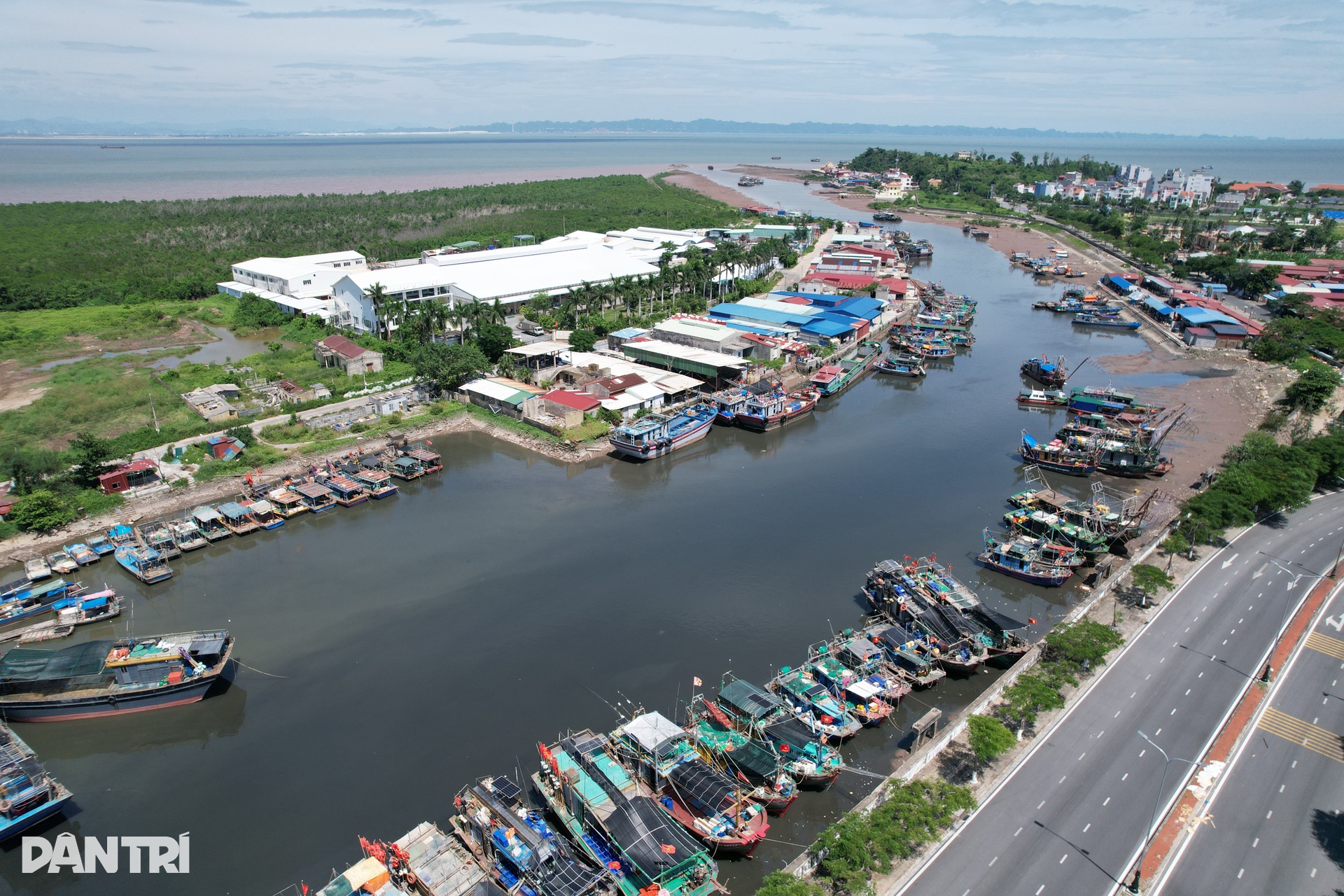 Ngư dân đưa tàu vào nơi tránh trú, theo dõi bão Ragasa qua điện thoại - 2 Ngư dân đưa tàu vào nơi tránh trú, theo dõi bão Ragasa qua điện thoại - 2