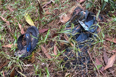 Thi thể phân hủy chỉ còn lại xương được phát hiện trong rừng tràm