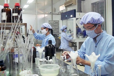 Thủ tướng chỉ đạo thanh tra việc cấp phép nhập thuốc cho VN Pharma