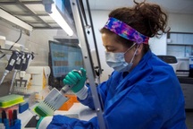 Nghiên cứu tìm ra bằng chứng Omicron ít nghiêm trọng hơn các chủng khác