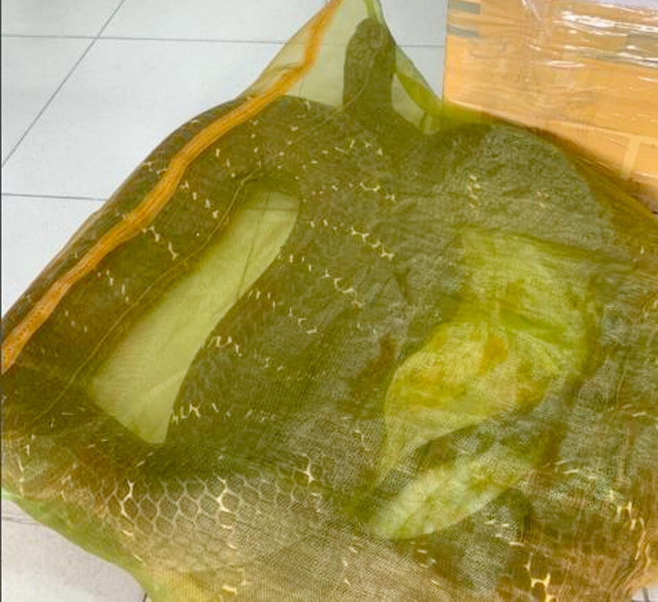 Tạm giữ người đàn ông chở rắn hổ mang chúa nặng 20kg đi bán - 2 Tạm giữ người đàn ông chở rắn hổ mang chúa nặng 20kg đi bán - 2