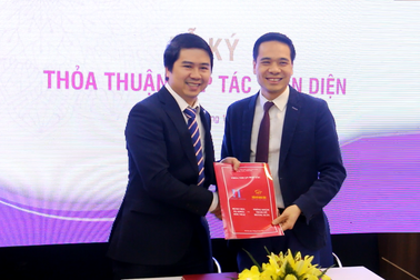 Bệnh viện đa khoa Hòe Nhai hợp tác toàn diện với Thẩm mỹ viện Hoàng Tuấn