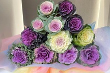 Mẹ đảm tại Nhật trồng bắp cải hoa hồng nhiều màu sắc đẹp rực rỡ