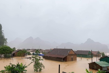 EU hỗ trợ 1,3 triệu euro giúp miền Trung khắc phục hậu quả lũ lụt