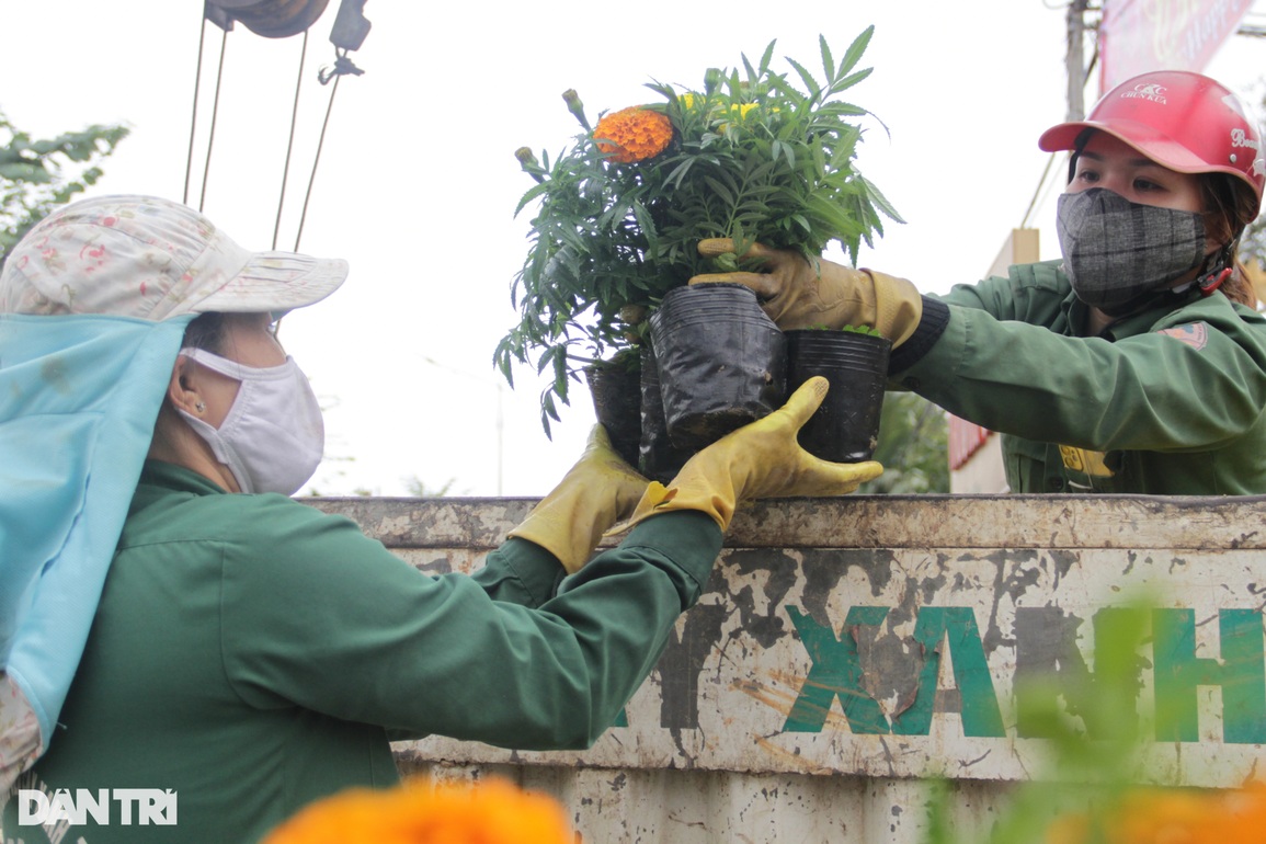 Rực rỡ con đường hoa nghệ thuật chào đón năm mới - 6 Rực rỡ con đường hoa nghệ thuật chào đón năm mới - 6