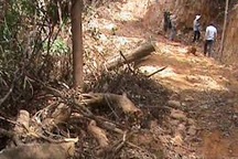 Thừa Thiên Huế: Cán bộ quản lý rừng nghỉ việc để ...chạy xe Grab kiếm sống