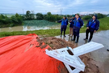 Hà Nội có 2 vị trí đê bị lún nứt nghiêm trọng, ảnh hưởng khả năng chống lũ