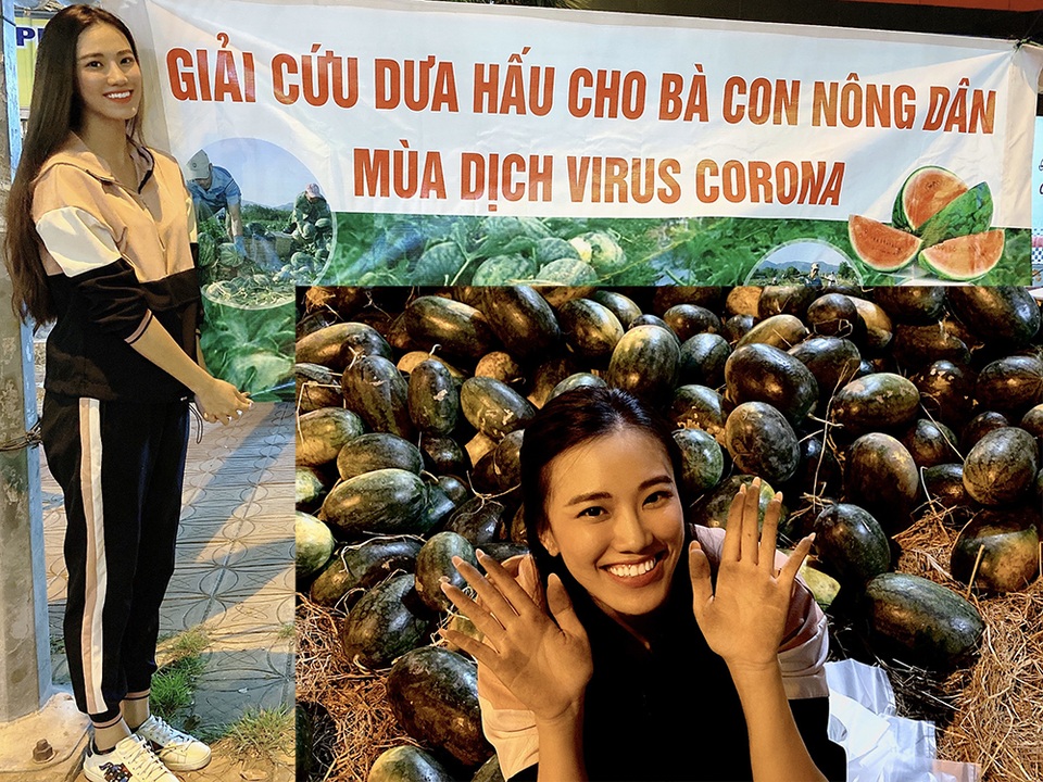 Á hậu Kim Duyên góp sức “giải cứu” dưa hấu tại quê nhà Cần Thơ - 1 Á hậu Kim Duyên góp sức “giải cứu” dưa hấu tại quê nhà Cần Thơ - 1