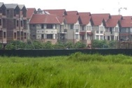Thị trường đất đấu giá: Chủ đầu tư tháo chạy!  