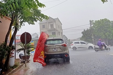 "Mưa vàng" bất ngờ xuất hiện mang niềm vui kép cho người dân