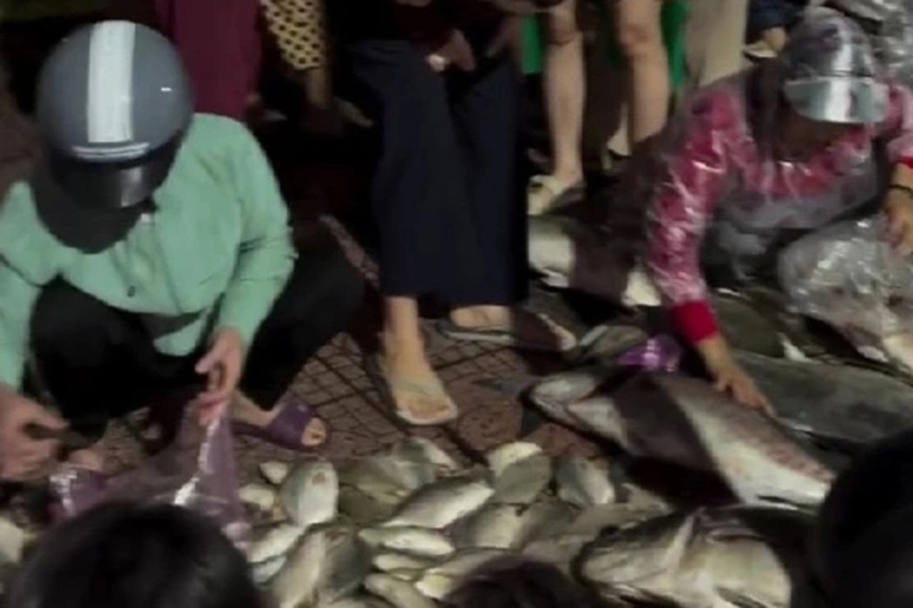 Đi bán cá chạy lũ, người phụ nữ bị kẻ gian móc túi trộm 50 triệu đồng - 2