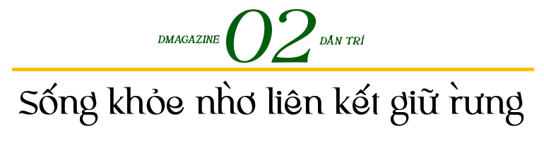 Sống khỏe tại nơi từng là điểm nóng về tranh chấp đất rừng - 9 Sống khỏe tại nơi từng là điểm nóng về tranh chấp đất rừng - 9