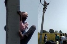 Ông nội 60 tuổi còn sức leo cột điện, đừng cản ông đi bước nữa!