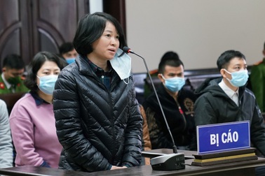 Bị kháng nghị nộp 221 tỷ, đại diện Nhật Cường vắng mặt ở phiên phúc thẩm