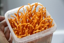 "Bình dân hóa" đông trùng hạ thảo, đôi bạn U40 khởi nghiệp kiếm bộn