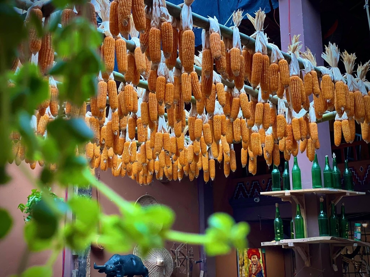 Cô gái Nùng mở quán cà phê, giới thiệu bản sắc dân tộc tới người dân Thủ đô - 2