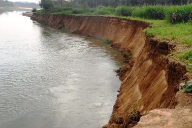 Dân hoang mang vì bờ sông sạt lở nghiêm trọng