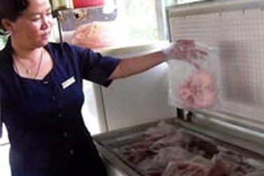 Thêm sản phẩm mới từ thịt cá sấu 