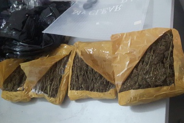 Tạm giữ 2 sinh viên nghi phạm buôn bán ma tuý với gần 1,5 kg cần sa