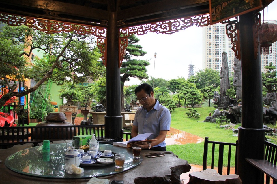 Tay chơi Hà Nội bán nhà trên phố để sở hữu cây tùng hơn 300 năm tuổi - 2 Tay chơi Hà Nội bán nhà trên phố để sở hữu cây tùng hơn 300 năm tuổi - 2