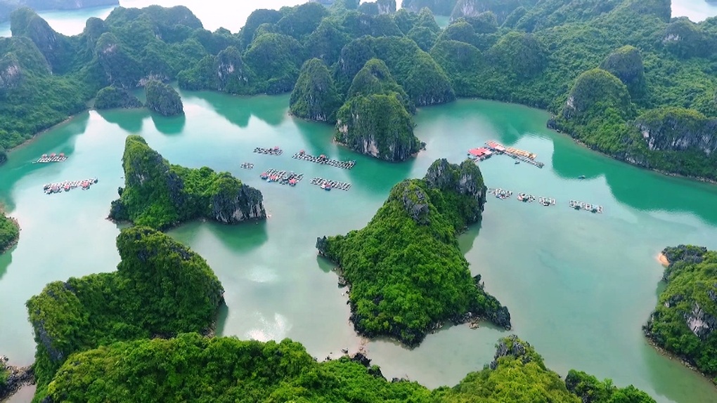 Yêu cầu Nhà máy nhiệt điện Cẩm Phả không làm ảnh hưởng vịnh Bái Tử Long - 2 Yêu cầu Nhà máy nhiệt điện Cẩm Phả không làm ảnh hưởng vịnh Bái Tử Long - 2