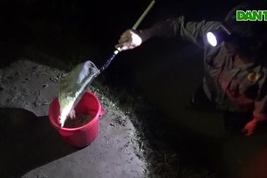 Người dân kéo nhau ra đồng vớt "lộc đất"