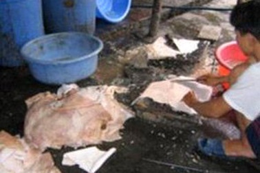 Lại phát hiện 2 bao tải bì lợn thối 