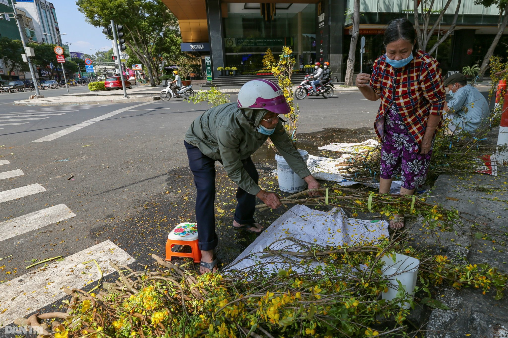 Thương lái đẫm nước mắt nhìn cảnh hàng nghìn chậu hoa Tết chuyển lên xe rác - 3 Thương lái đẫm nước mắt nhìn cảnh hàng nghìn chậu hoa Tết chuyển lên xe rác - 3