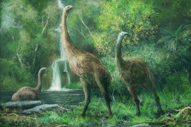 Các nhà khoa học sắp hồi sinh loài “khủng long có cánh” đã tuyệt chủng