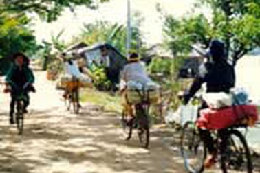 Đường lên giá, buôn lậu gia tăng