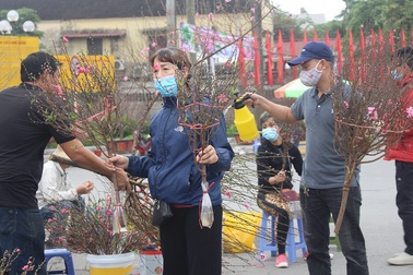 Tết thời Covid-19: Bánh chưng, hoa đào Hà Nội nhộn nhịp "ship" đi TP.HCM