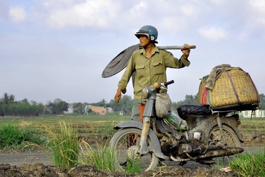 "Thợ săn" cào cào ở ngoại ô Sài thành