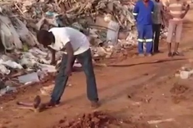 Video người đàn ông có “ma thuật” thôi miên và ru rắn ngủ