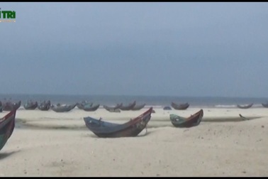 Ngư dân bức xúc và lo lắng trước tình trạng tàu công suất lớn đánh giã cào gần bờ