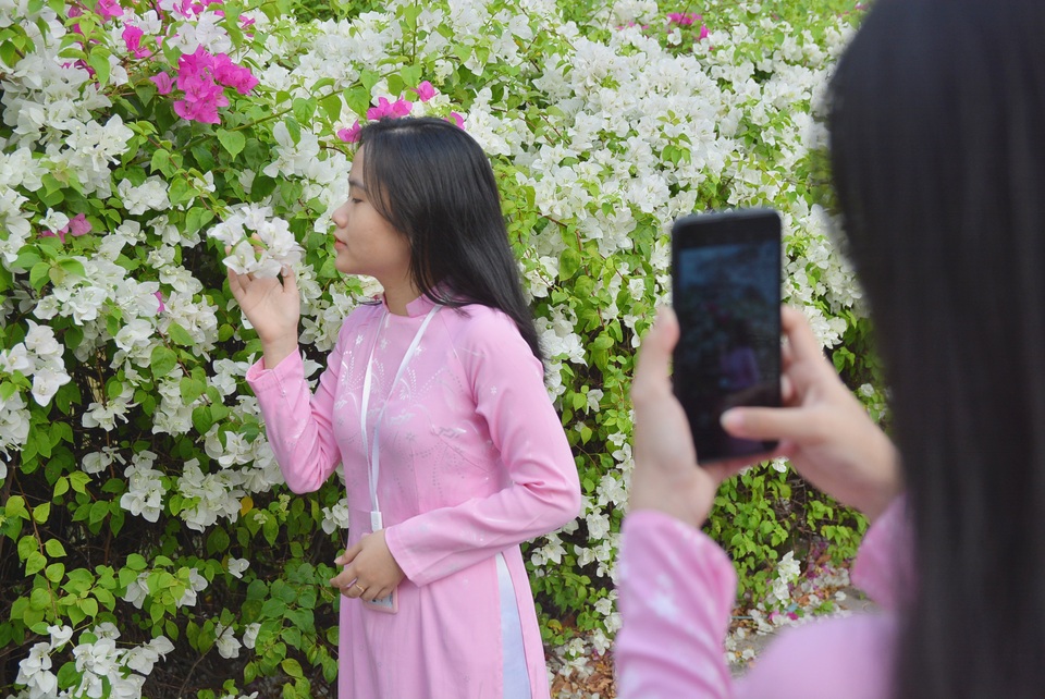 Giới trẻ tha hồ sống ảo bên tường hoa giấy cực đẹp ở Sài Gòn - 10 Giới trẻ tha hồ sống ảo bên tường hoa giấy cực đẹp ở Sài Gòn - 10