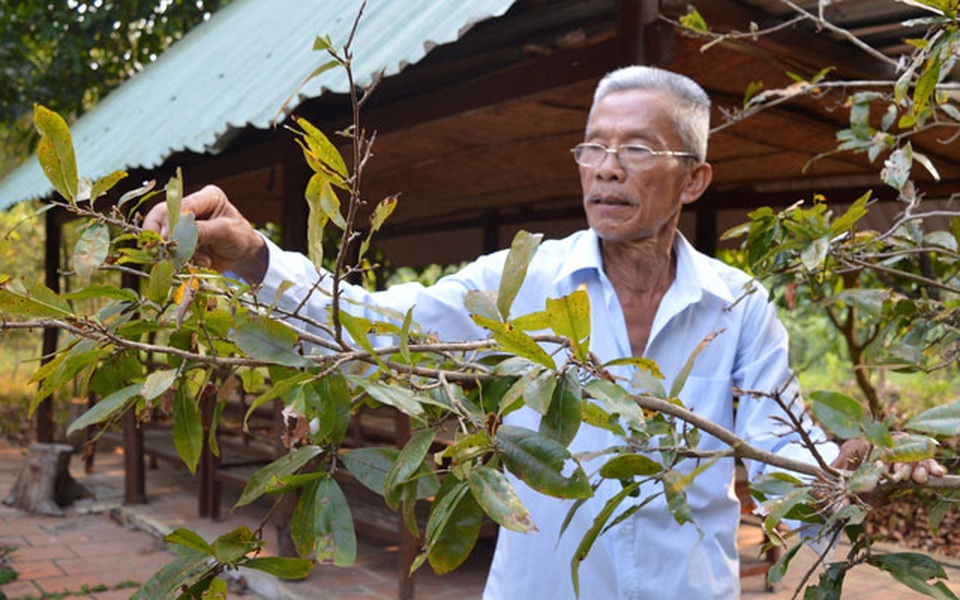 Ý nghĩa những phong tục và kiêng kỵ ngày Tết của người dân miền Tây - 1 Ý nghĩa những phong tục và kiêng kỵ ngày Tết của người dân miền Tây - 1