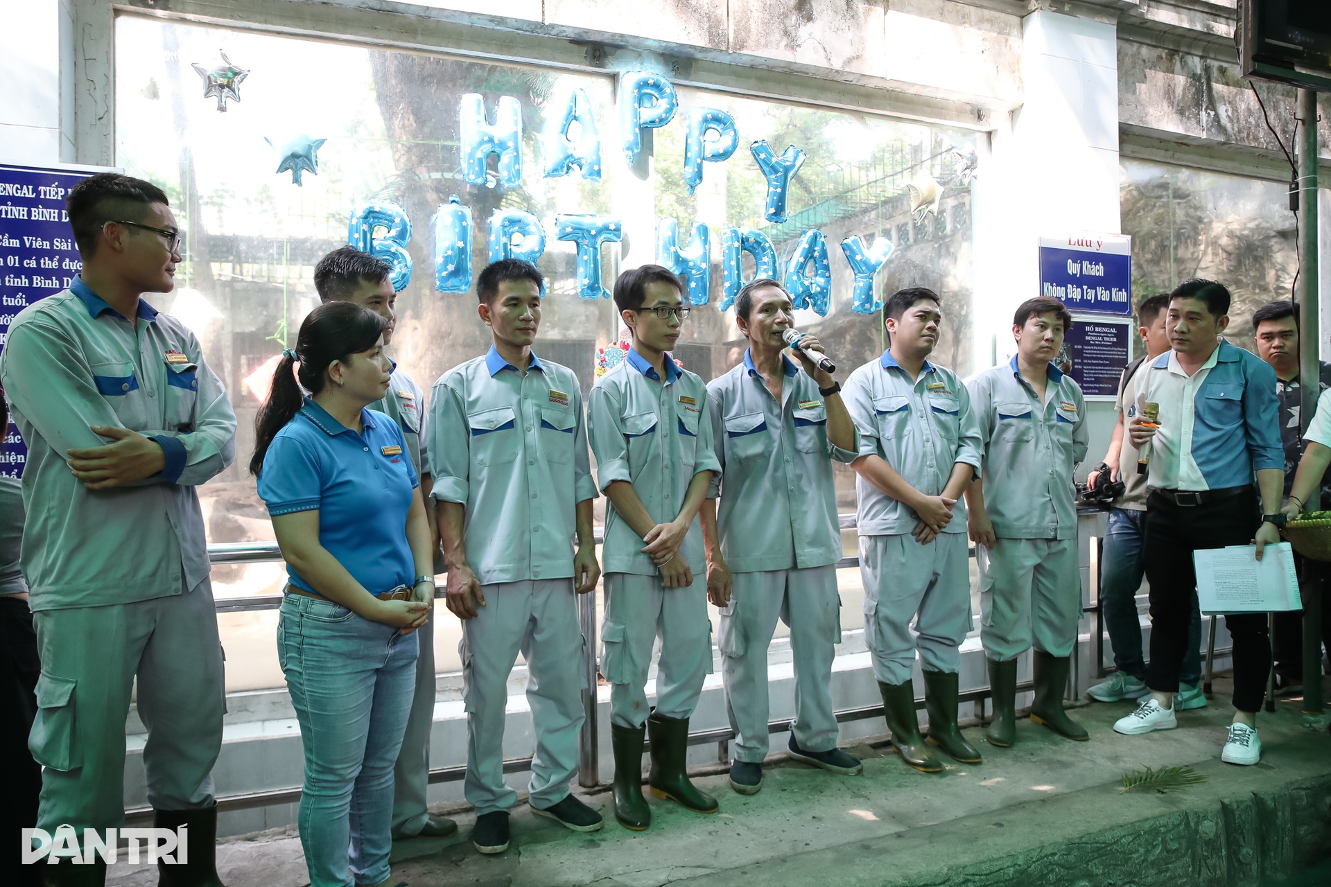 Người dân bất ngờ về buổi lễ sinh nhật của đôi hổ ở TPHCM - 7 Người dân bất ngờ về buổi lễ sinh nhật của đôi hổ ở TPHCM - 7
