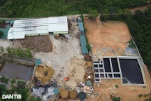 Dừng hoạt động nhà máy xả thải "nhuộm" đen dòng sông, cá chết hàng loạt