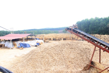 Quảng Trị: Phát hiện thêm sai phạm tại doanh nghiệp "phớt lờ" chỉ đạo của chính quyền!