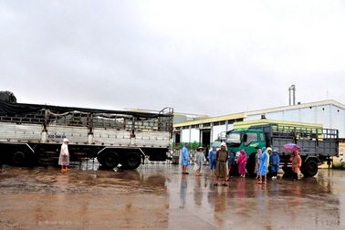 Giám đốc "biến mất" cùng khoản nợ chục tỉ, dân bao vây nhà máy