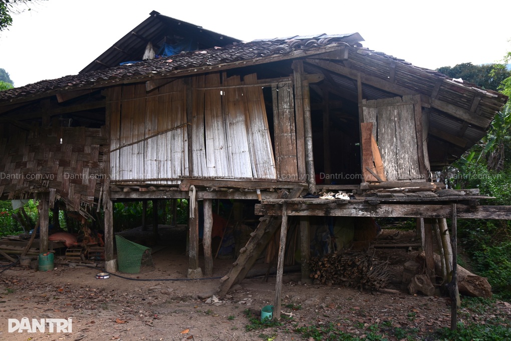 Bạn đọc Dân trí giúp 2 mẹ con cụ bà nghèo khó có ngôi nhà Nhân ái vững chãi - 1 Bạn đọc Dân trí giúp 2 mẹ con cụ bà nghèo khó có ngôi nhà Nhân ái vững chãi - 1