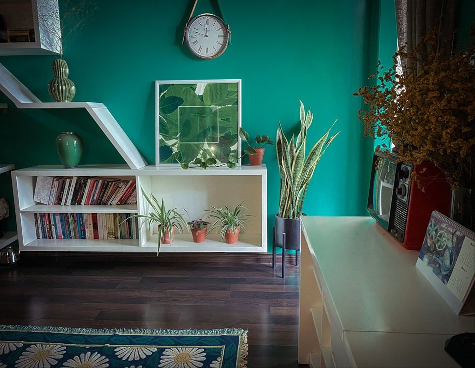 Khu vườn “sống ảo” vạn người mê của chàng trai “nghiện cây” ở Hà Nội - 3 Khu vườn “sống ảo” vạn người mê của chàng trai “nghiện cây” ở Hà Nội - 3